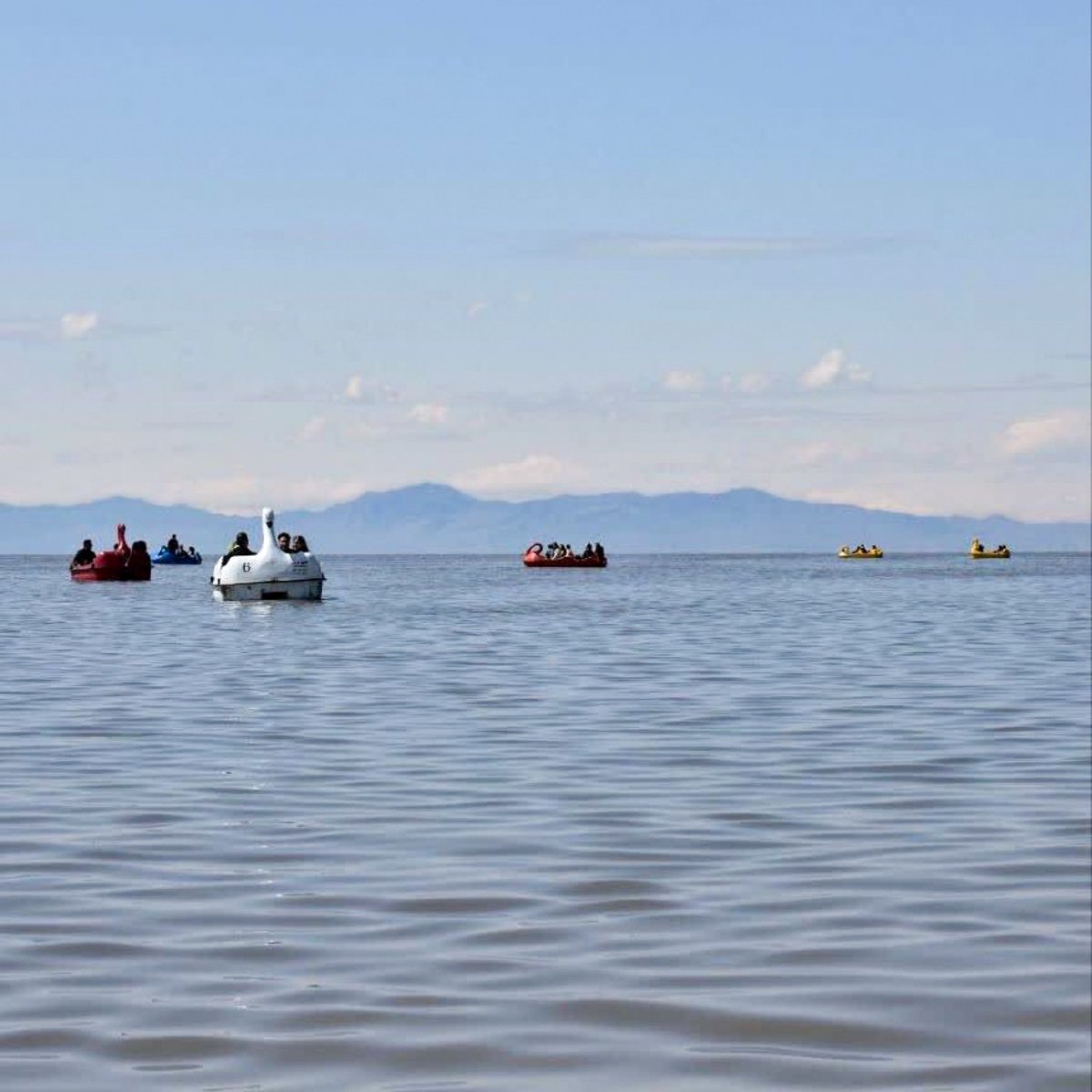 فلات ایران tweet media