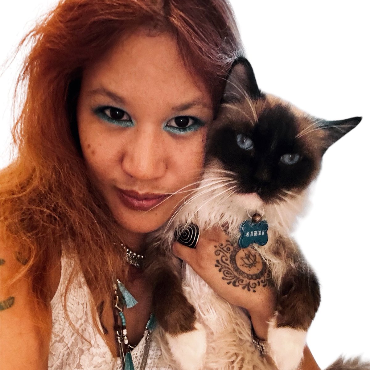 CamilleVoraporn's tweet image. #ragdoll