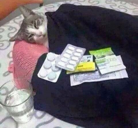 𝐀𝐊𝐀𝐙𝐀 tweet media