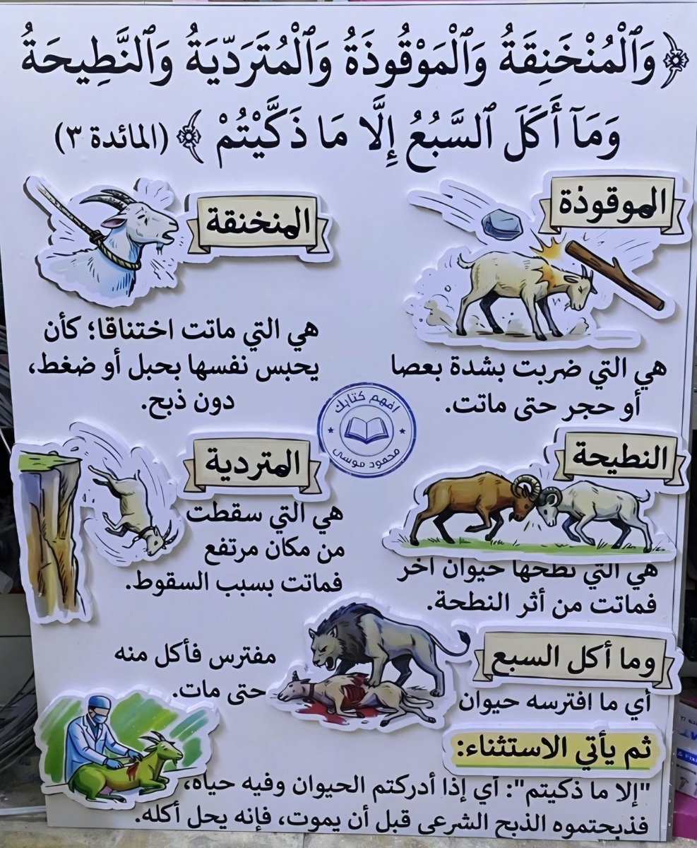 درر إسلامية 🇰🇼 tweet media