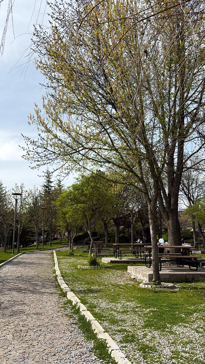 𝓔𝓬𝓮 𝓚𝓾𝓷𝓽𝓮𝓻 👸🏻🧚🏻‍♀️ tweet media