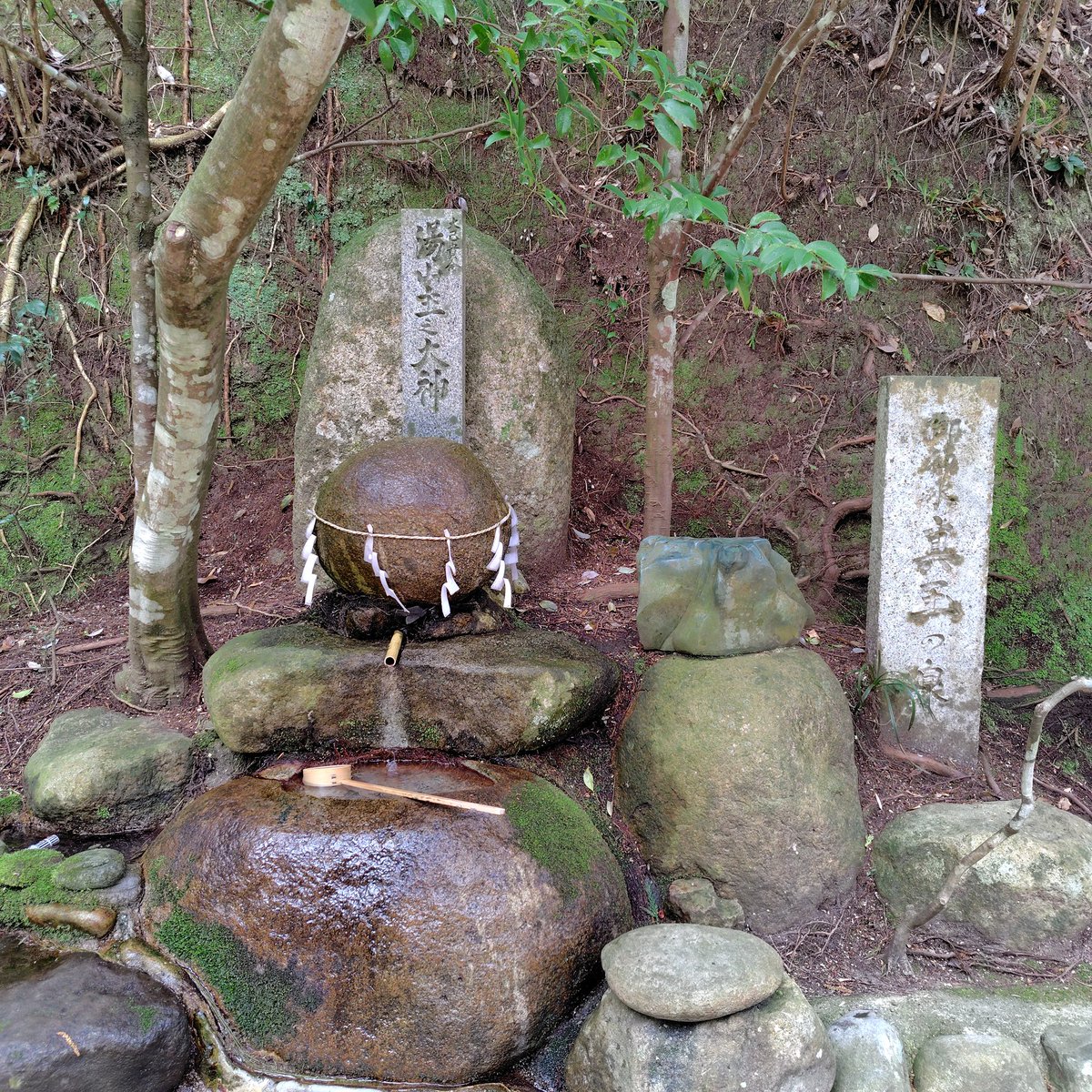 こいさん tweet media