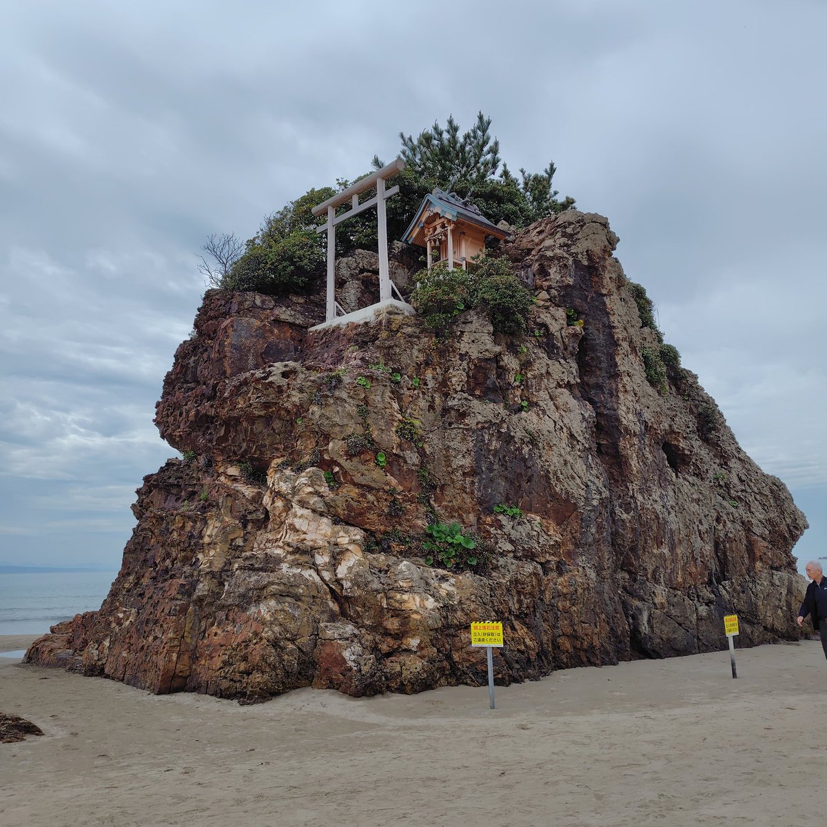 こいさん tweet media