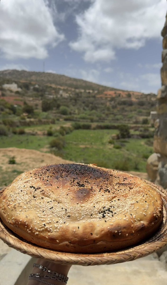 Aisha alamri. tweet media