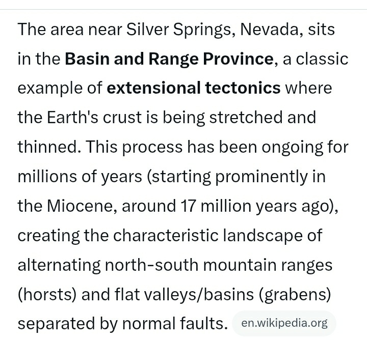 🐝 free to 🐝 free tweet media