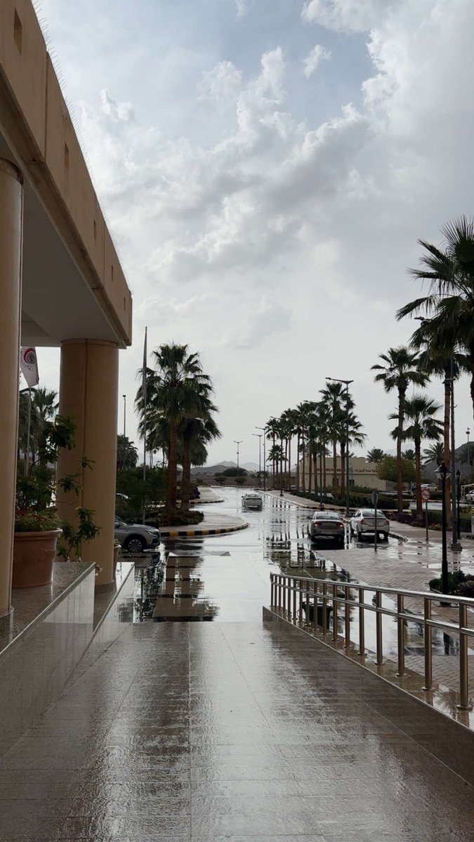 _iLolla's tweet photo. #امطار_المدينة

يازين صوت المطر وريحة المطر يارب لك الحمد 🌧️ https://t.co/oNqQIEWhkW