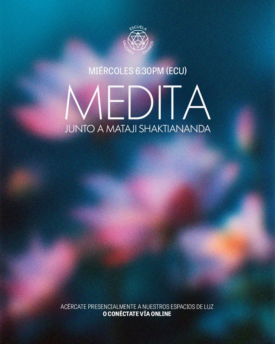 Escuela Valores Divinos tweet media