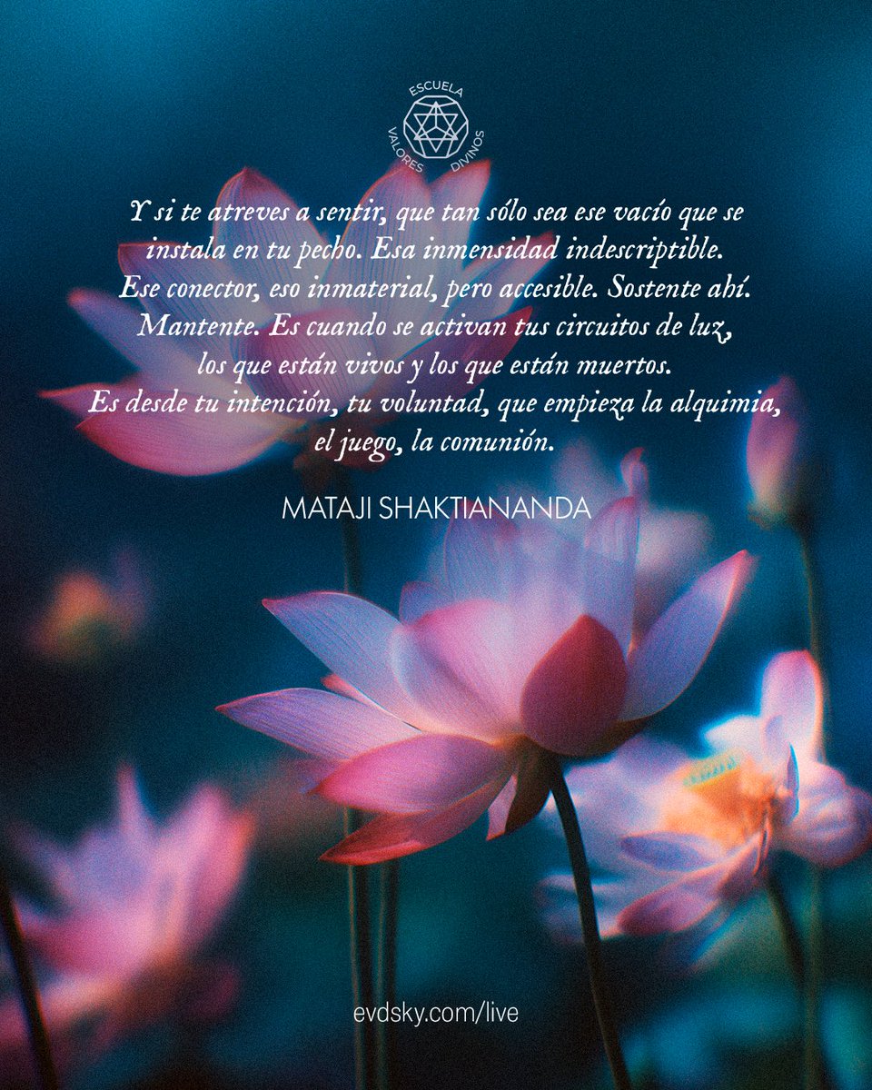 Escuela Valores Divinos tweet media