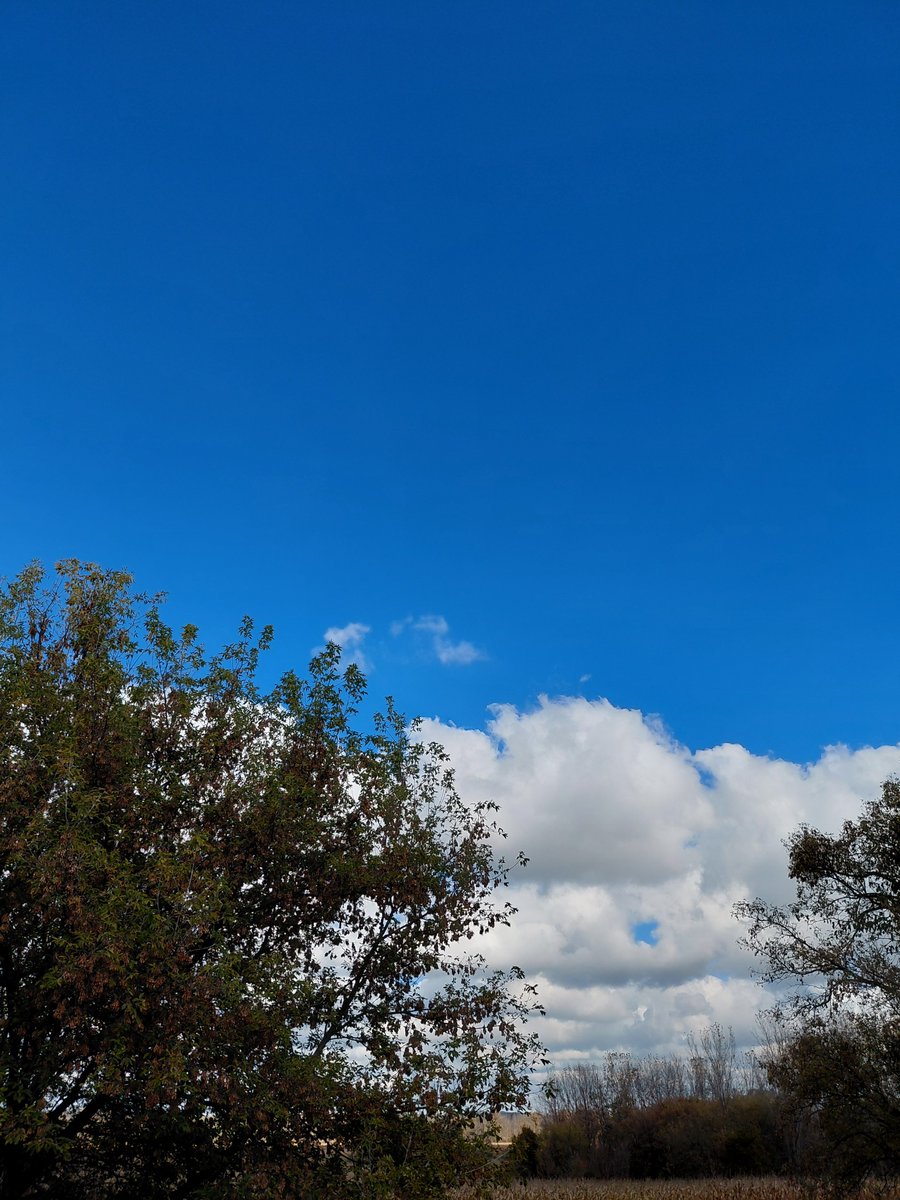 Elbeet0's tweet photo. I've been gone for awhile because I've had a case of the blues... https://t.co/TFe0eIkUql