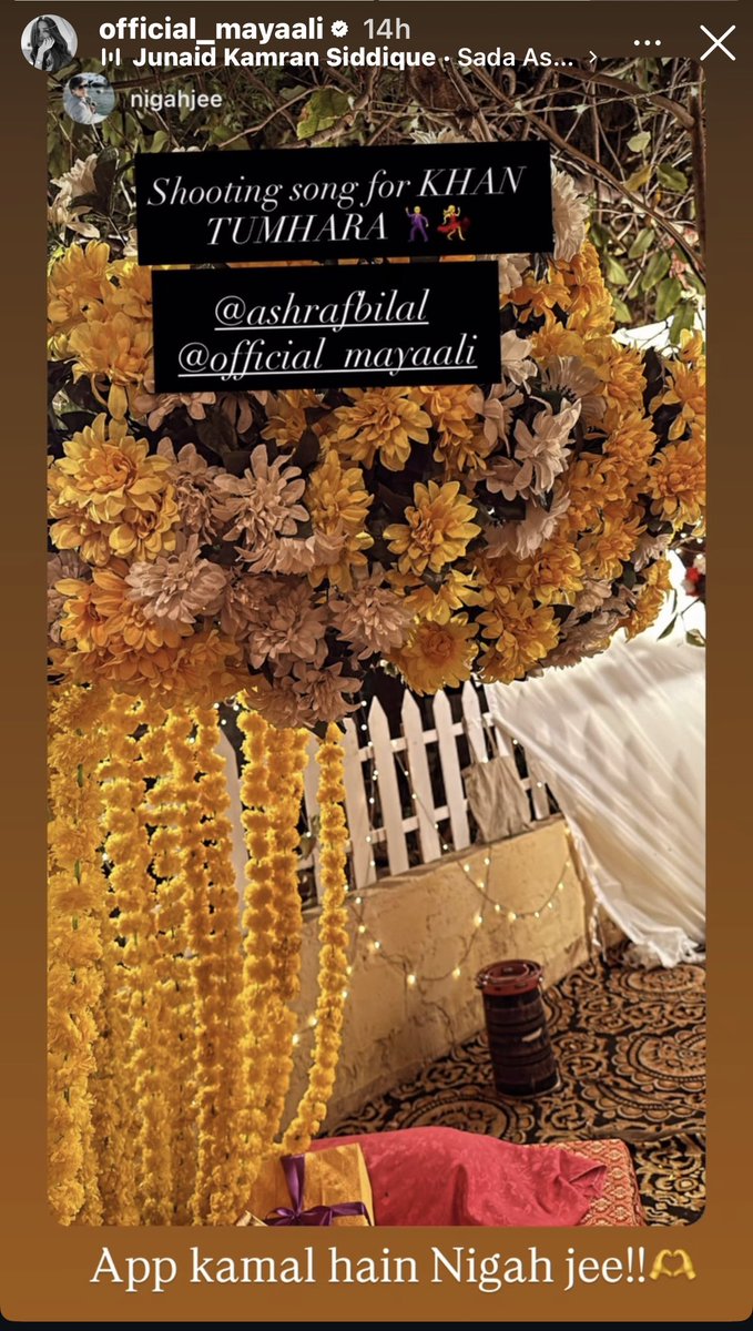 _ramini14's tweet image. Wow so this is coming up next .. #Nigahjee choreography with #MayaAli 💖 &amp;amp; #Bilalashraf 🤍for 
#KhanTumhara 👌🏻