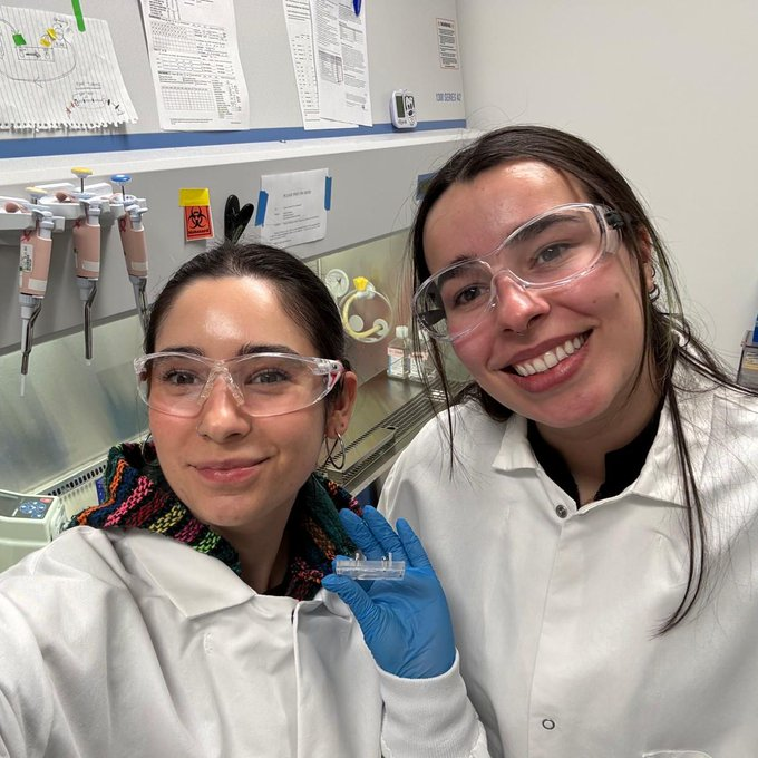 Biomedical Engineering @ UDEL tweet media