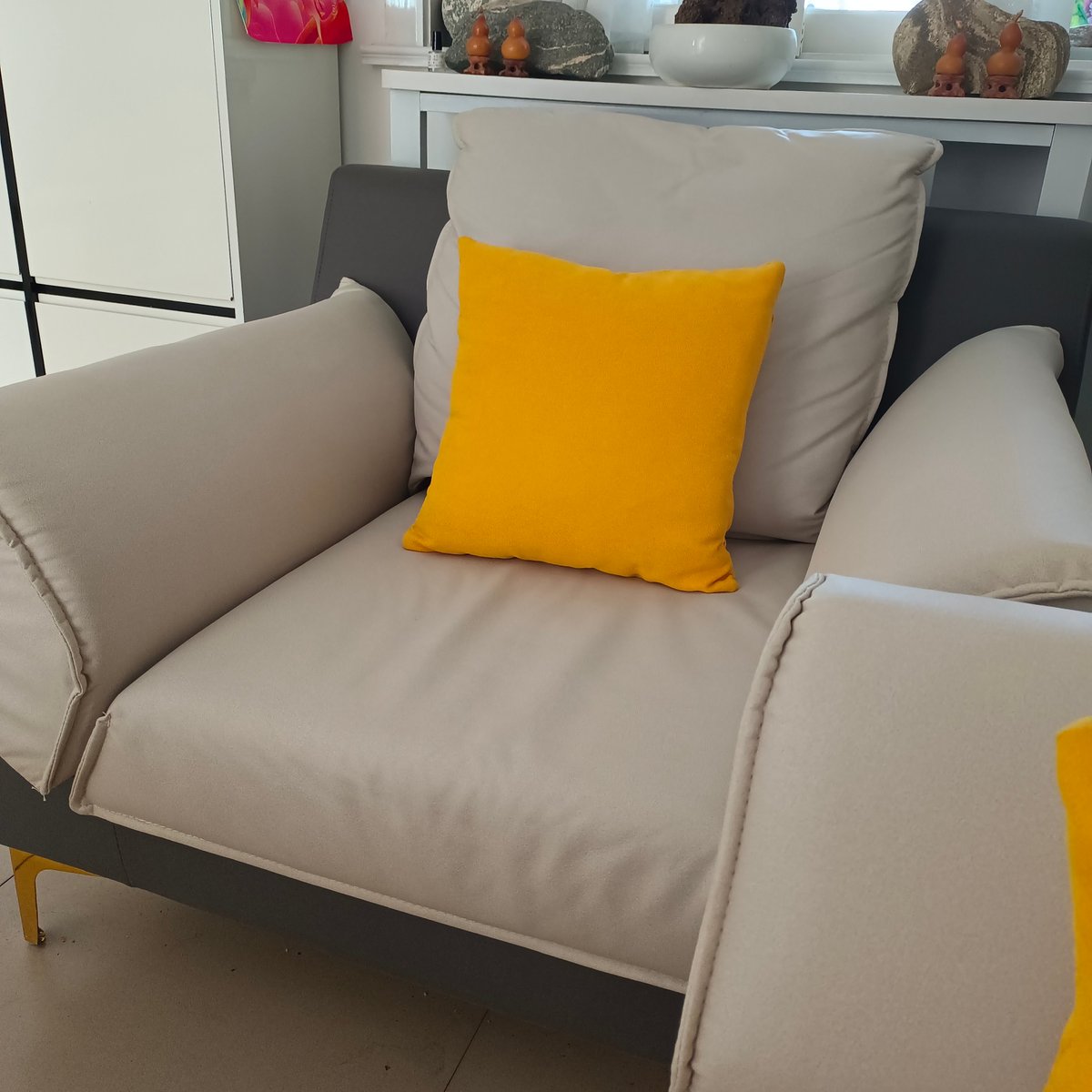 Viviana Eyzaguirre tweet media