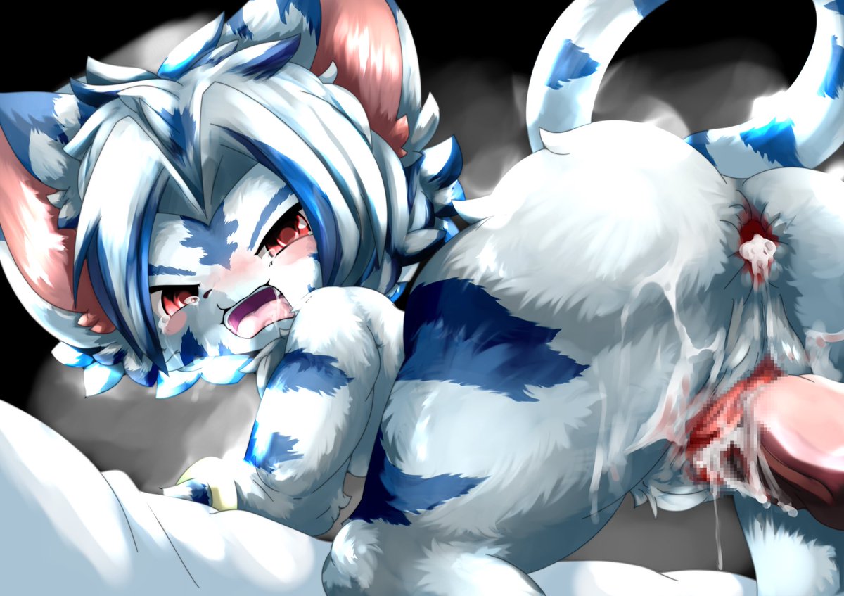 ねこて tweet media