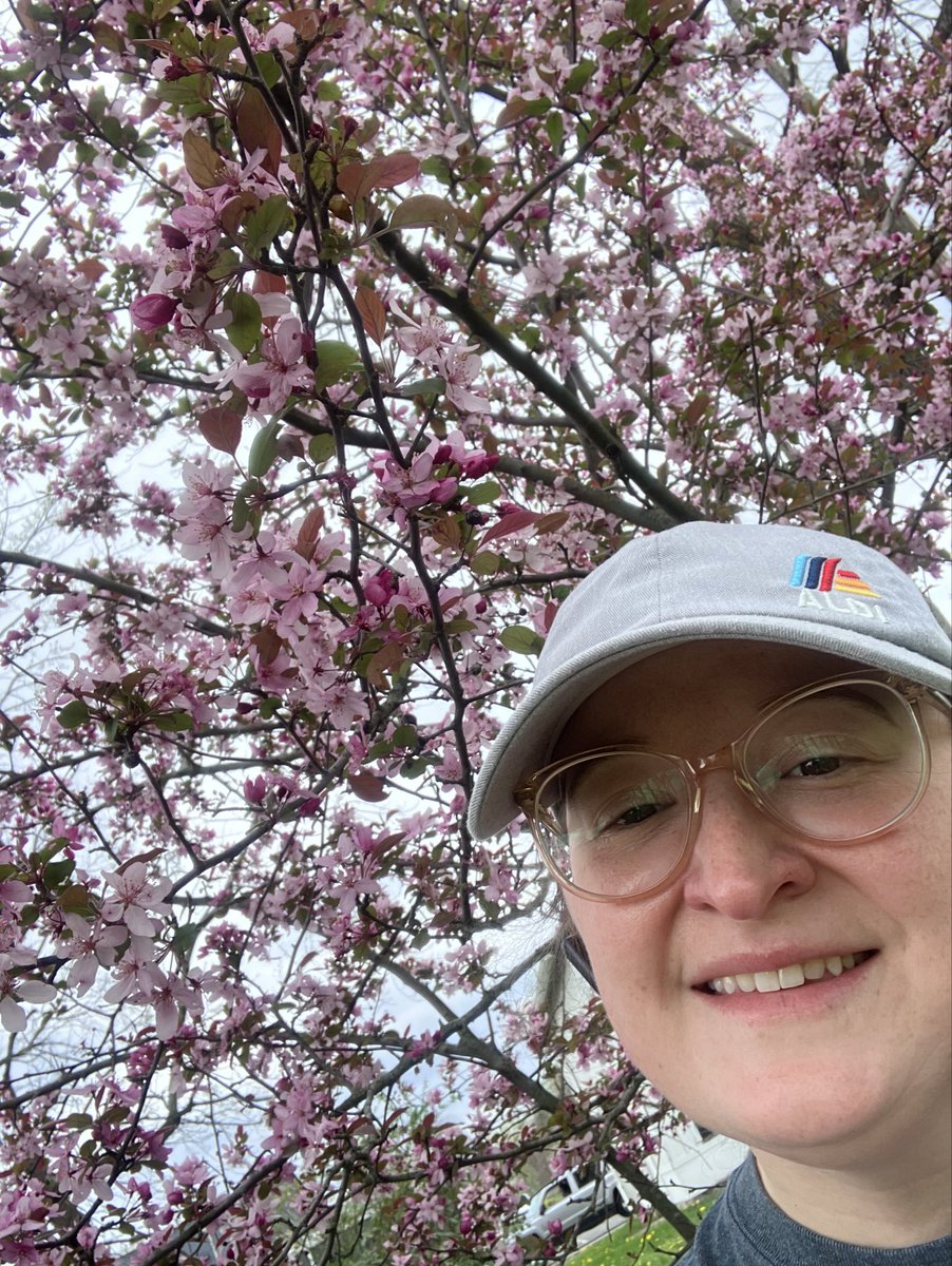 Love this tree in our yard, but I’m not very plant smart and so don’t know what it is 🤷‍♀️ Any amateur (or not so amateur) arborists out there that can tell me what it is😆? I want to plant more. Took a pic while is was out mulching our plant beds 😩 🥵