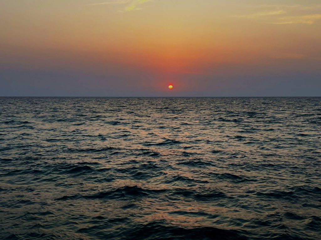 ocean tweet media