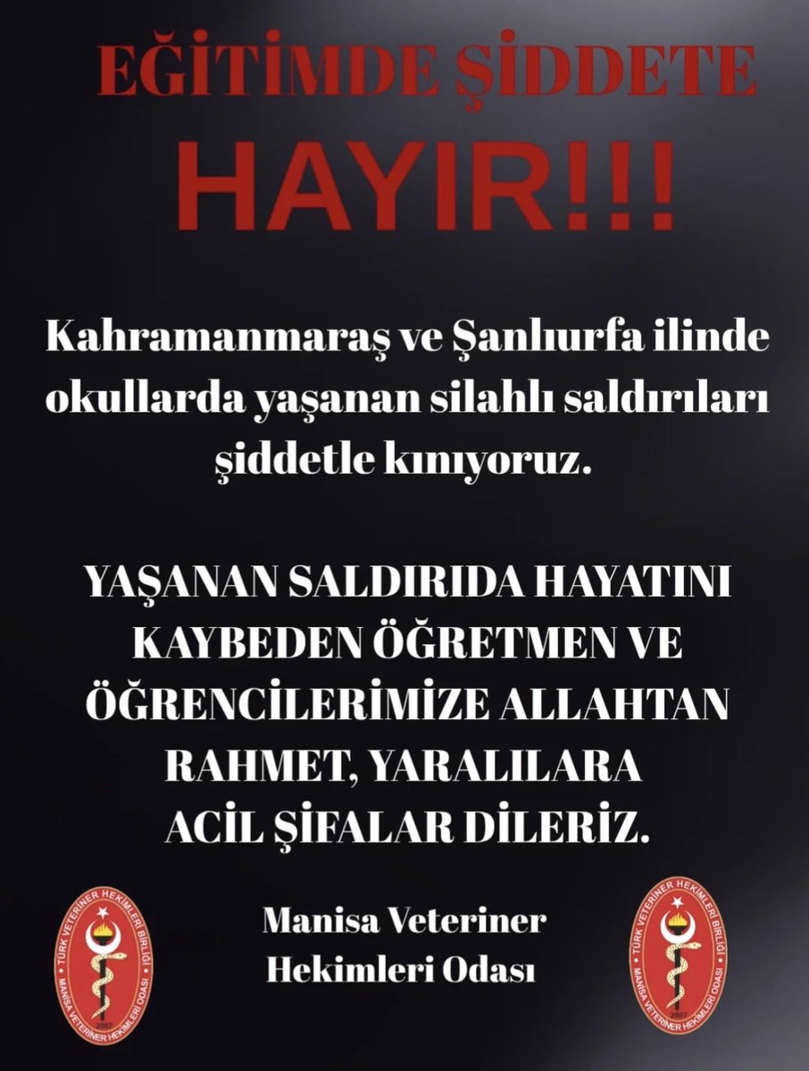 Manisa Vho tweet media