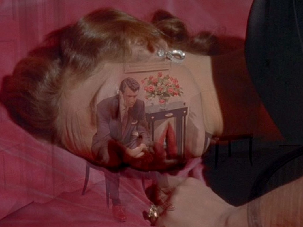 Criterion Collection tweet media