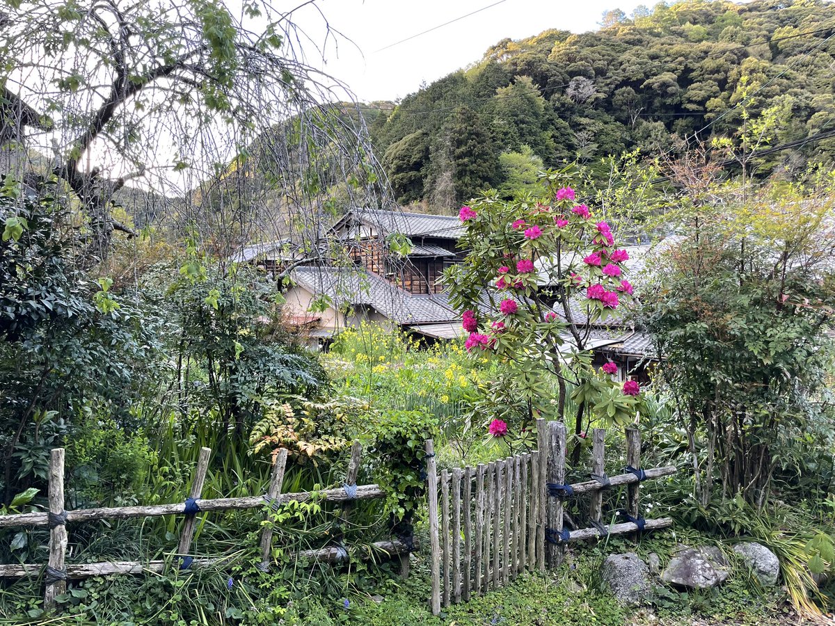 forestbk tweet media