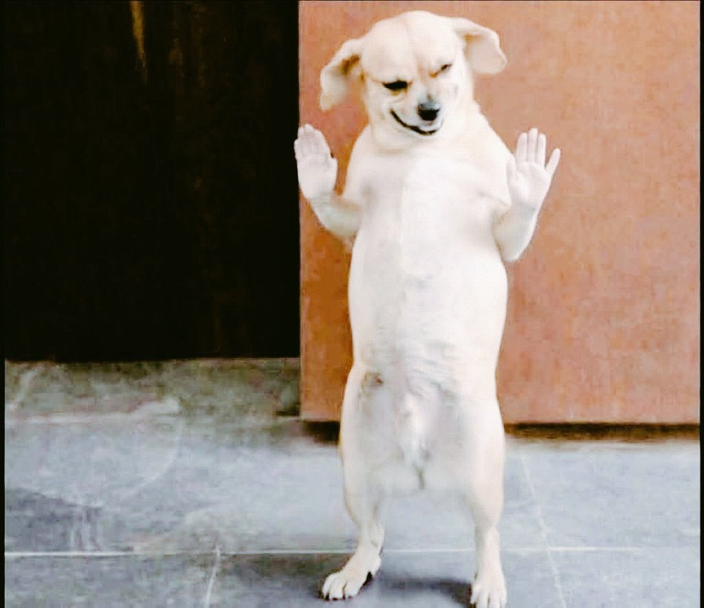 Mr vibez tweet media