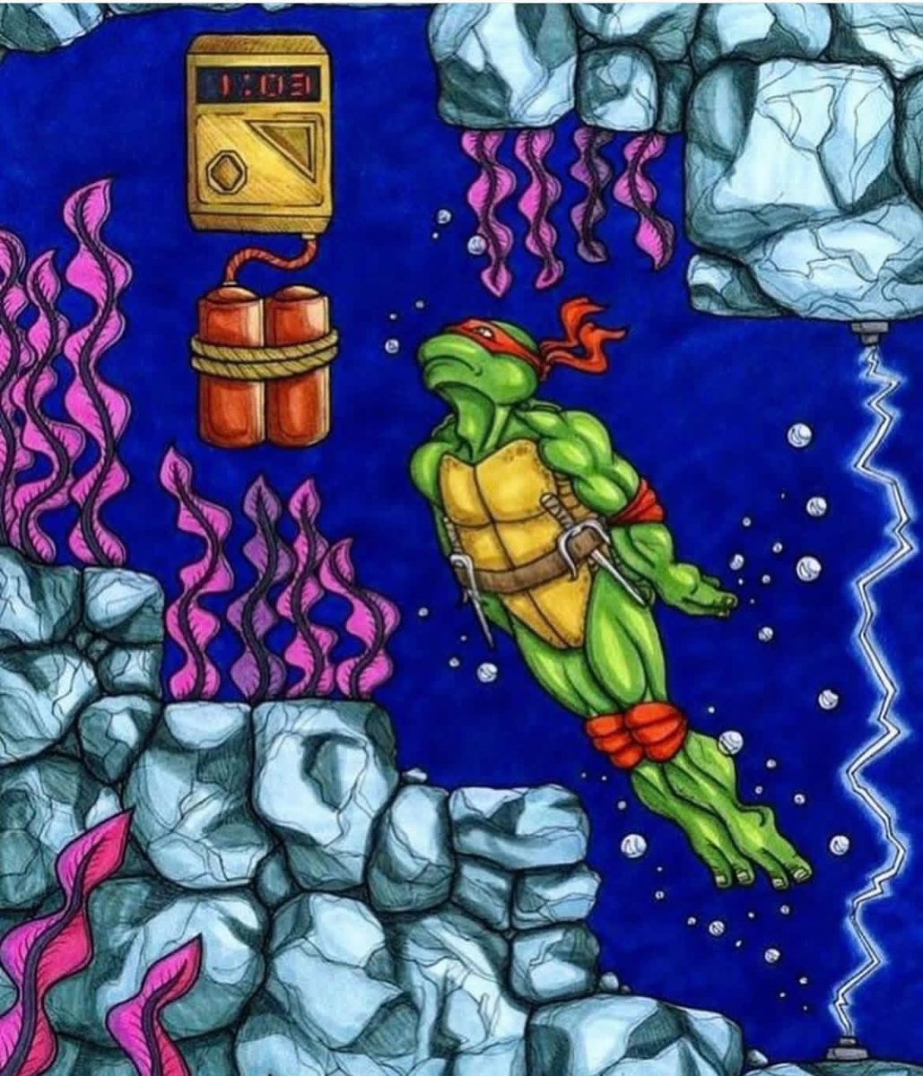 Turtle_Lair tweet media