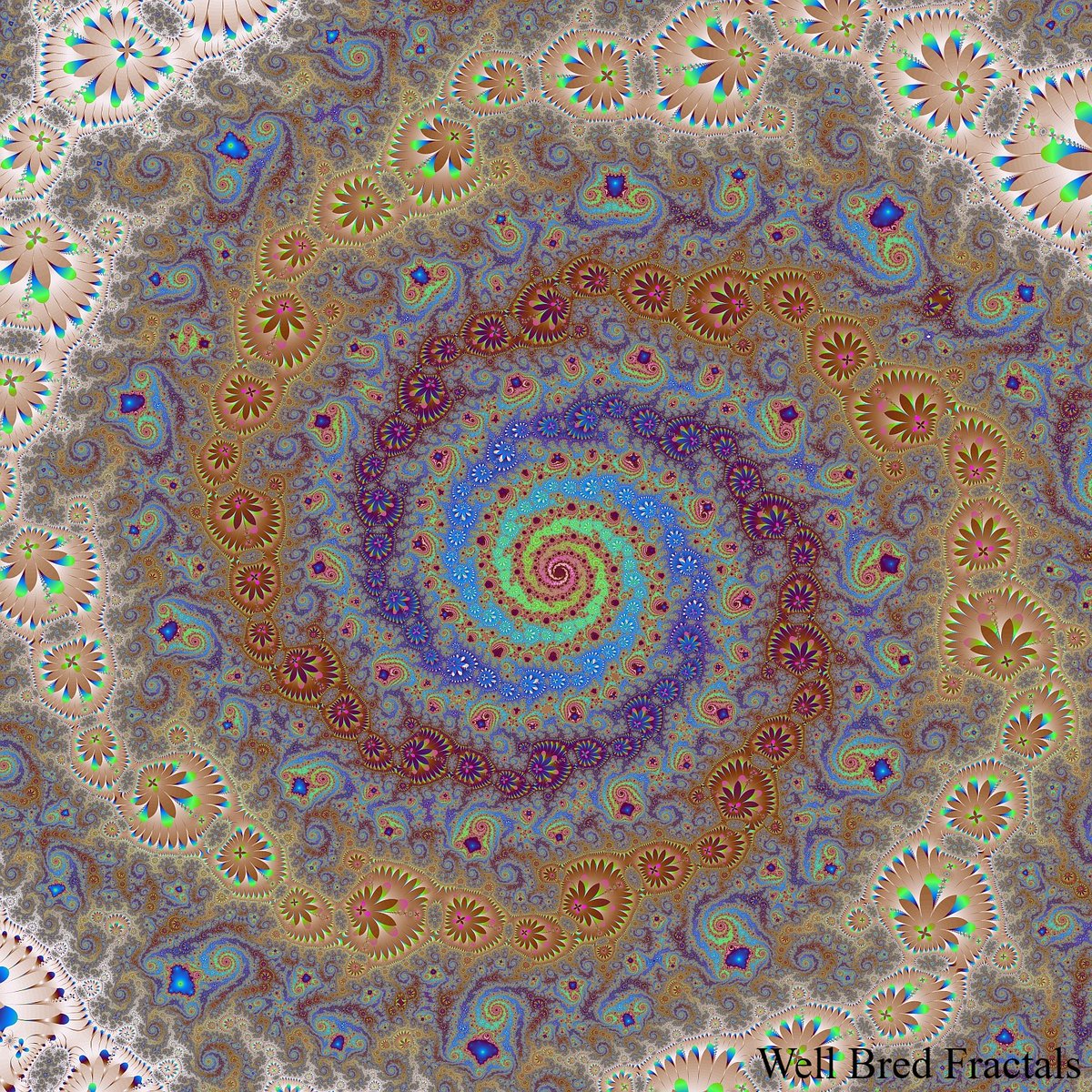 fractalsteve's tweet photo. Complexity in nature refers to the emergence of structured, organized patterns from many interacting parts, without central control. It describes how relatively simple local rules, applied repeatedly across space and time, generate coherent large-scale organization and stability. https://t.co/PZAShLSp1g
