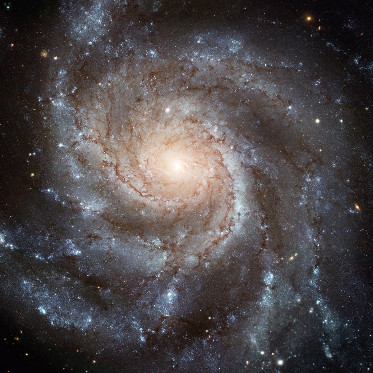 fractalsteve's tweet photo. Complexity in nature refers to the emergence of structured, organized patterns from many interacting parts, without central control. It describes how relatively simple local rules, applied repeatedly across space and time, generate coherent large-scale organization and stability. https://t.co/PZAShLSp1g