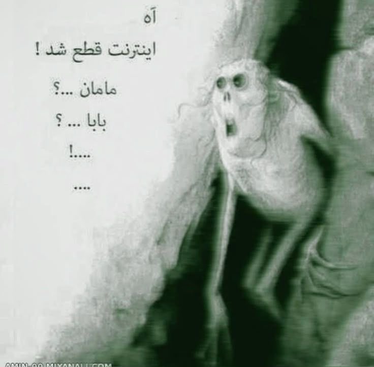 عُنب tweet media