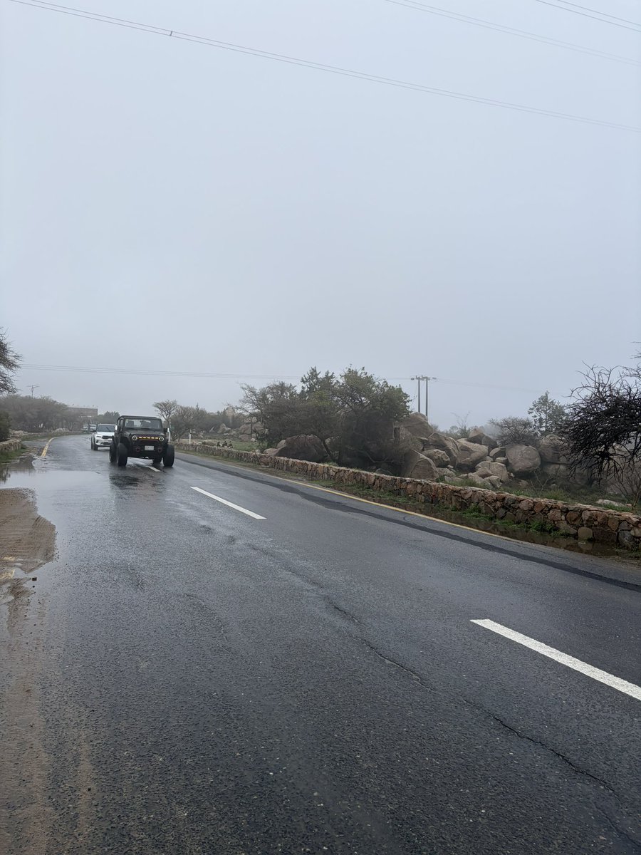 Aisha alamri. tweet media