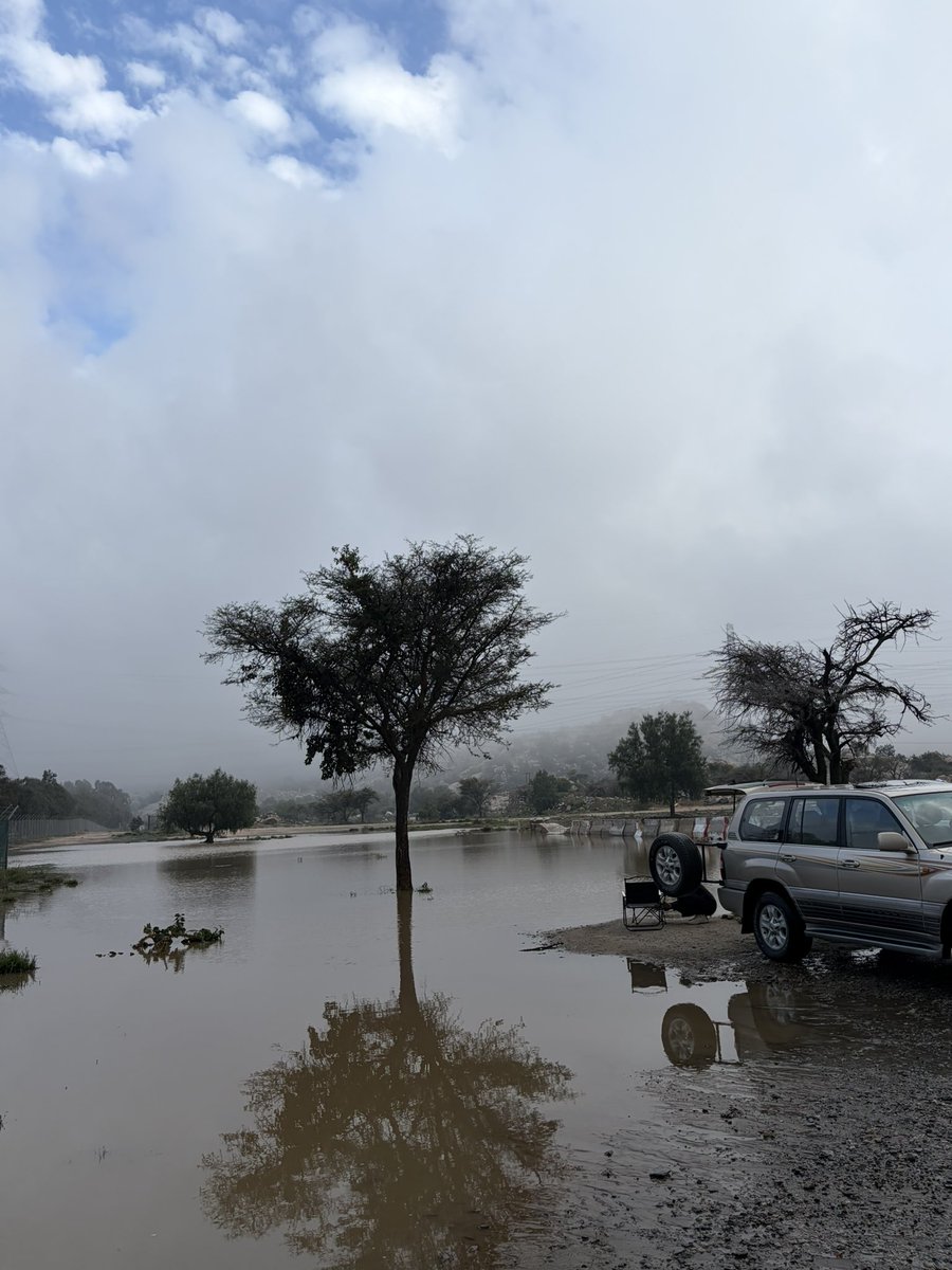 Aisha alamri. tweet media