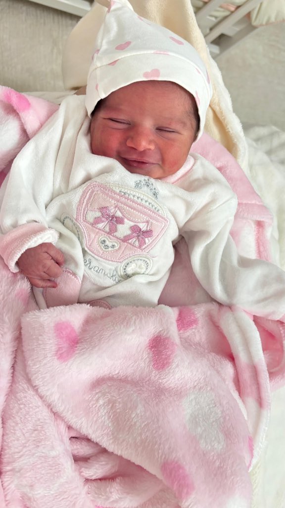 Lara 🕊️ 𓂆 🍉 tweet media