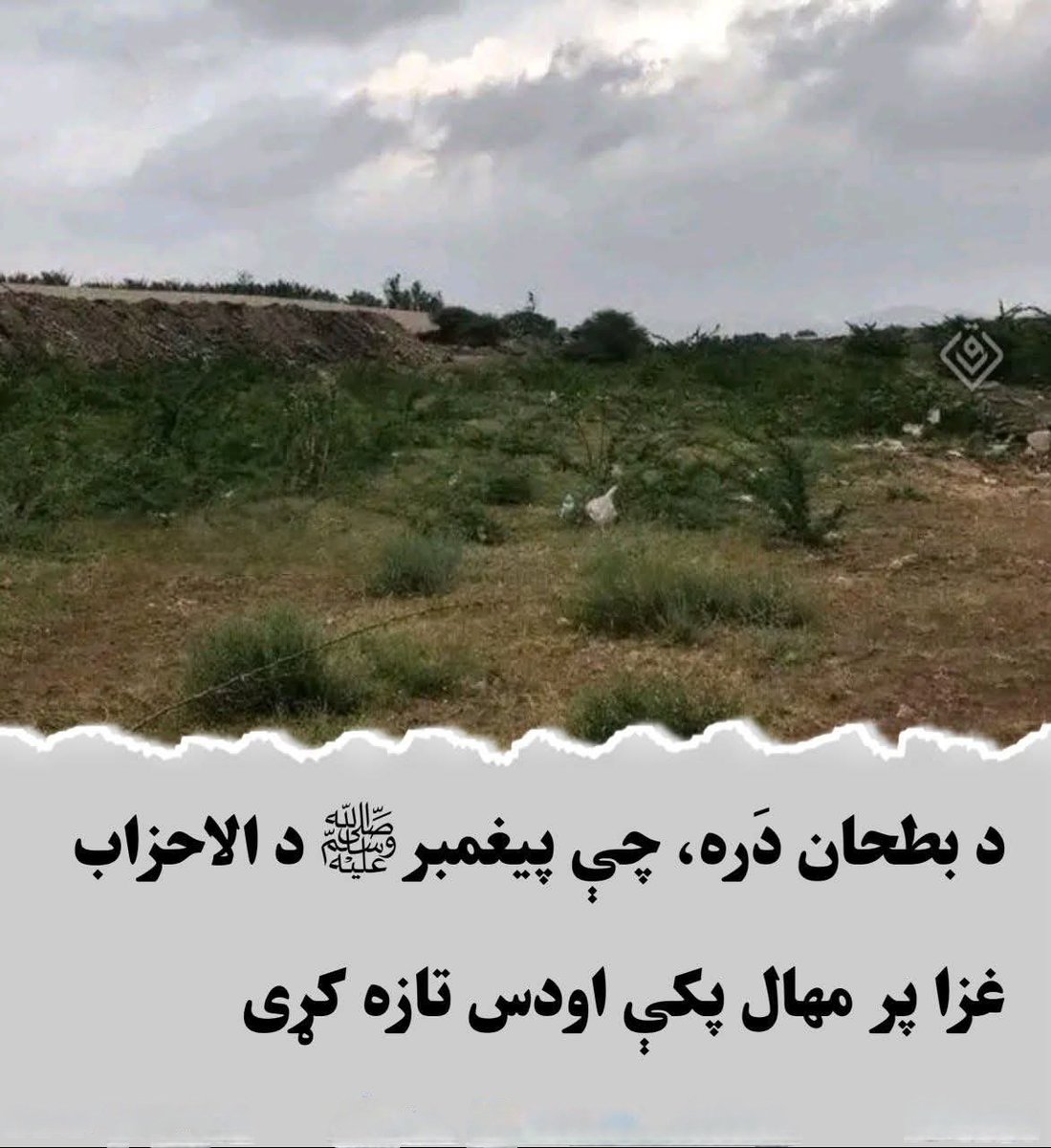 🦋مينه له هيواد سره tweet media