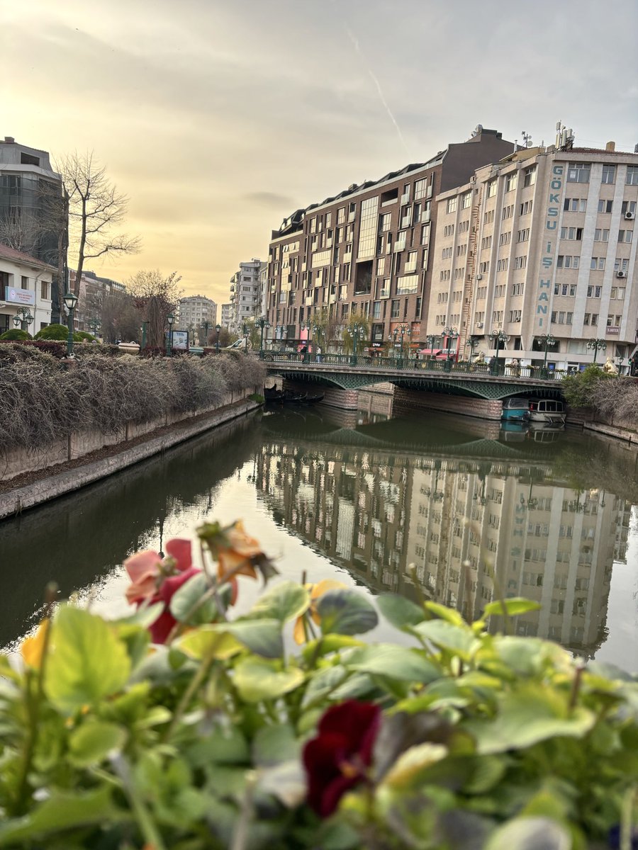 Emel'in Ataraksiyası tweet media