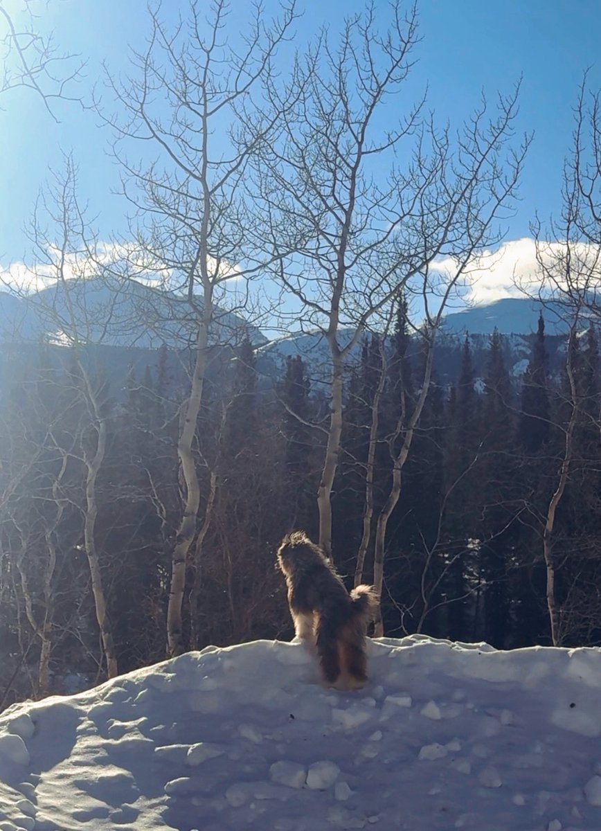 Vitamin Dee tweet media