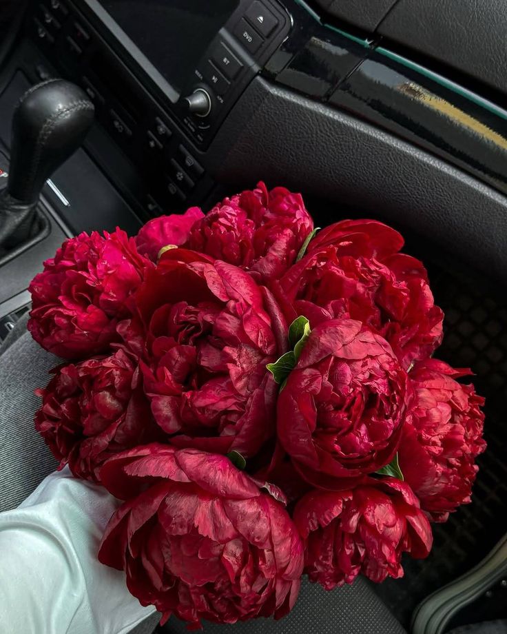 Flowers (@flowerslovers44) on Twitter photo 