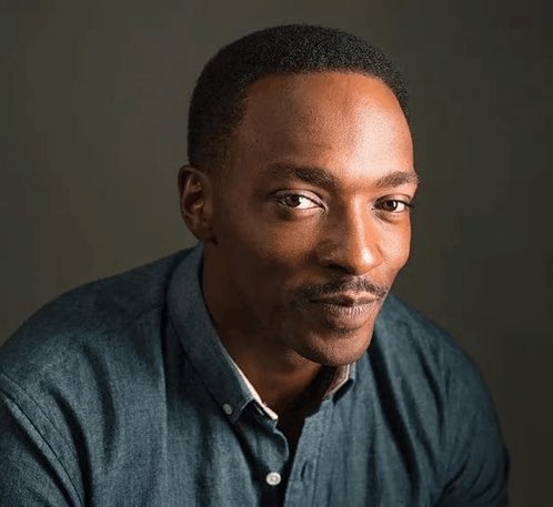 The Wild Wild Breast tweet media