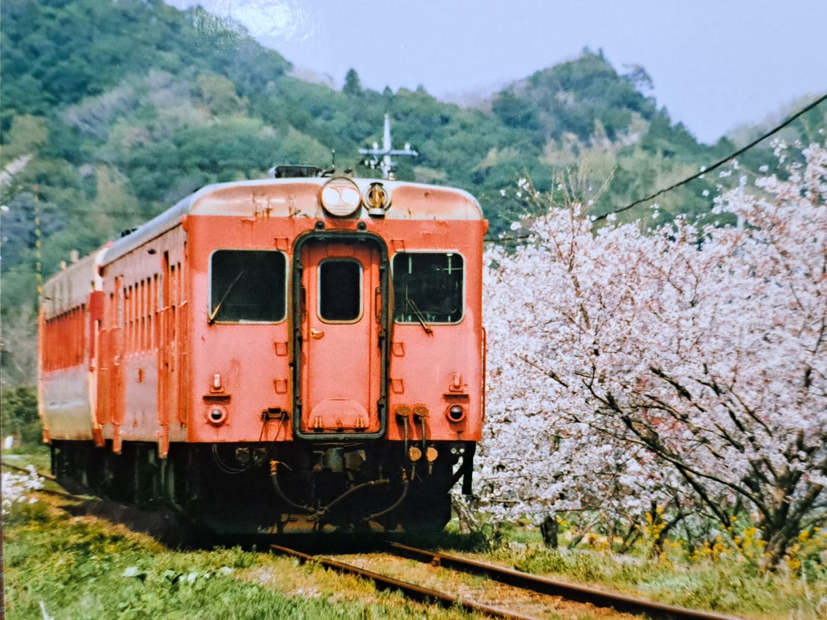 リバティ常磐 tweet media