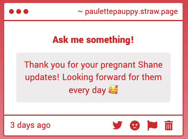 paulettesucr'⁷ tweet media