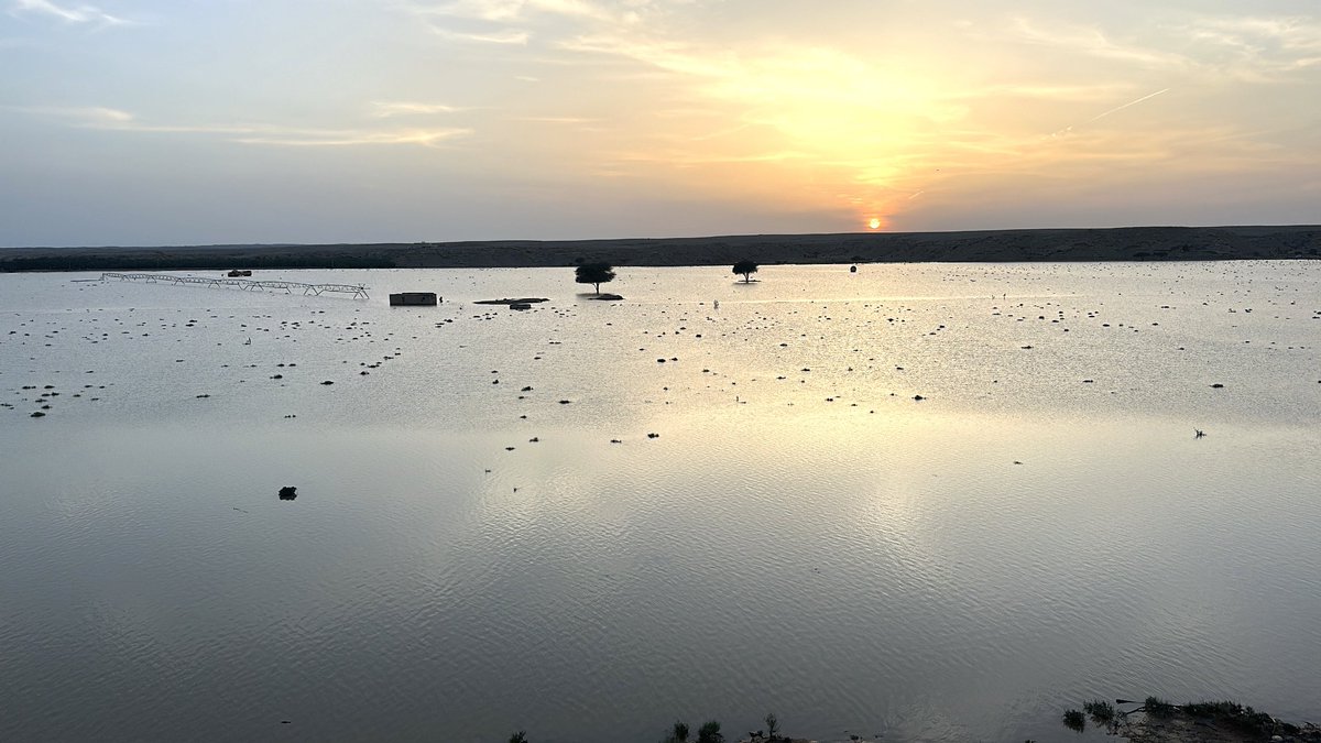 خبر عاجل tweet media