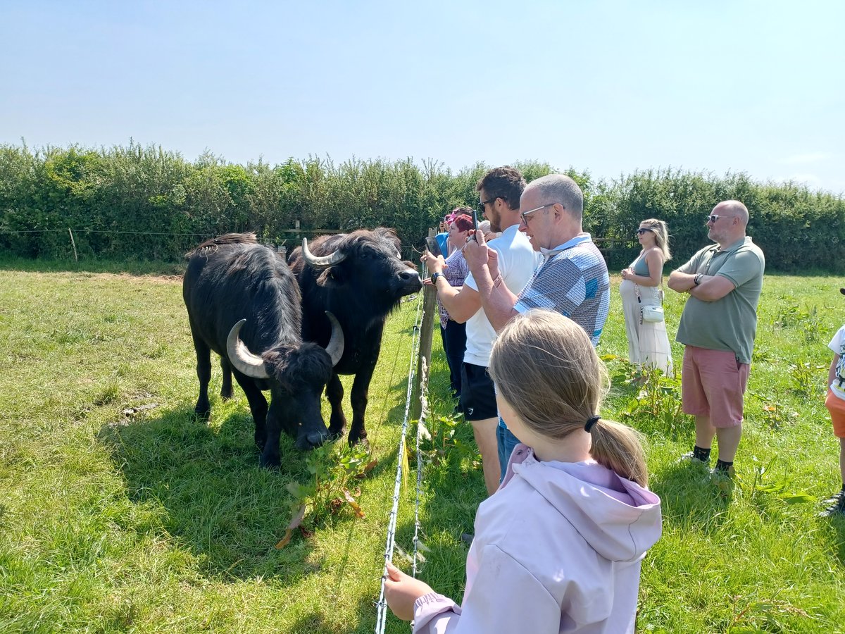 OpenFarmSunday tweet media
