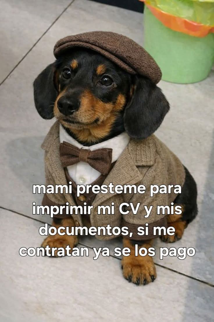 En Júpiter tweet media