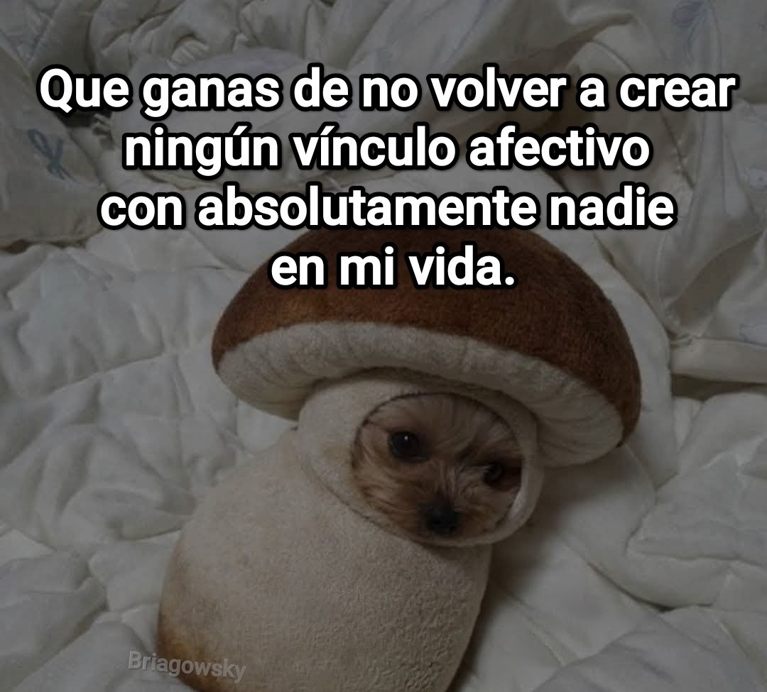 Cap Briagowsky tweet media