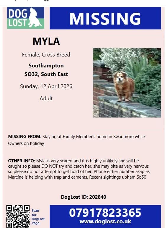 Missing Pets GB tweet media