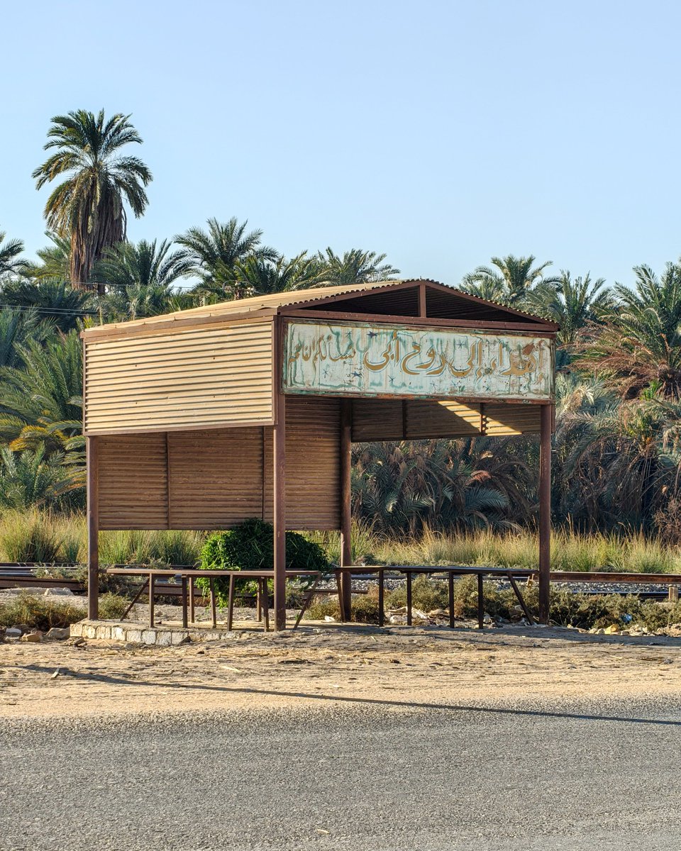 Ahmed Gebreel tweet media