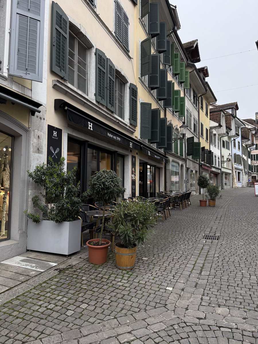 ApolloZen tweet media