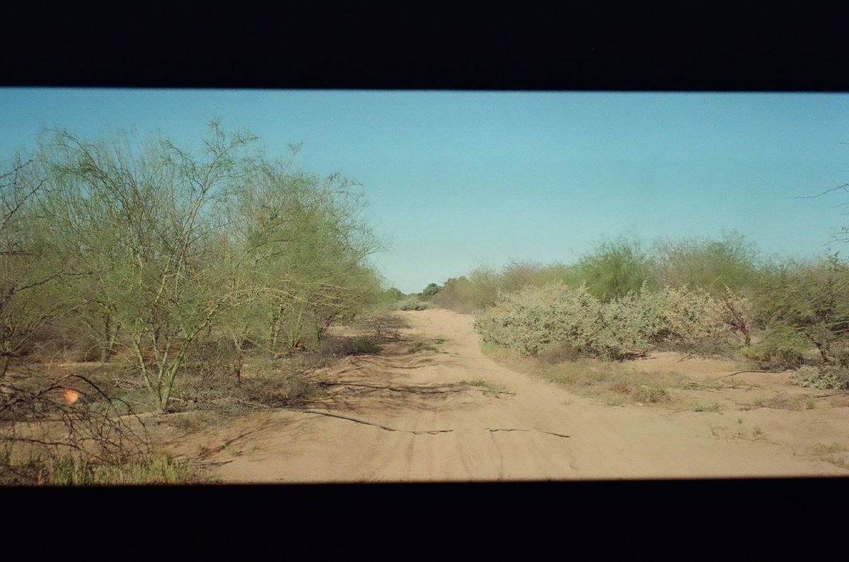 Elementa DDHH tweet media