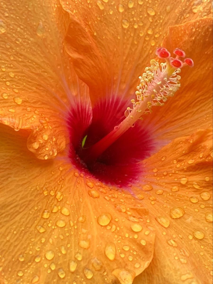 𝙈𝙖𝙧𝙮 tweet media