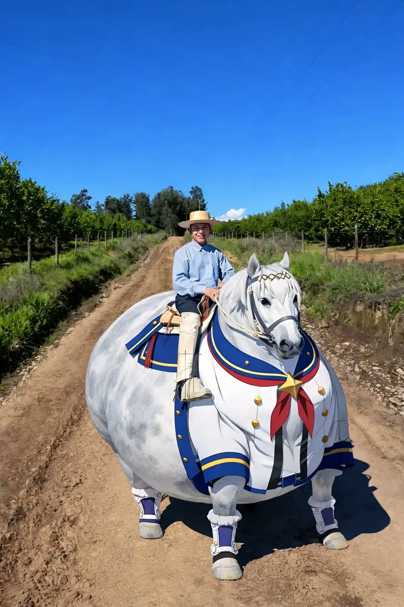 Tamamo Cross tweet media