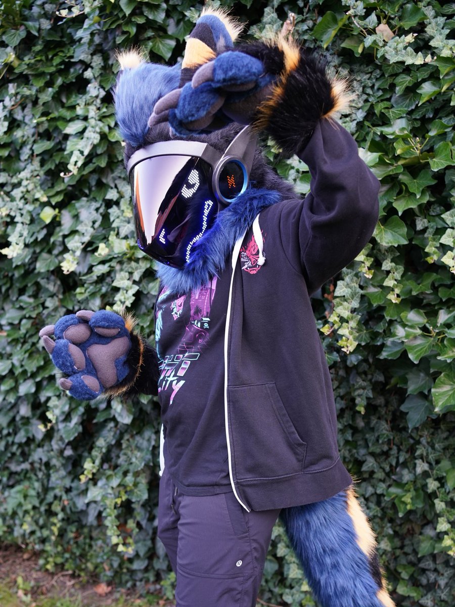 Arget & Lazuli tweet media