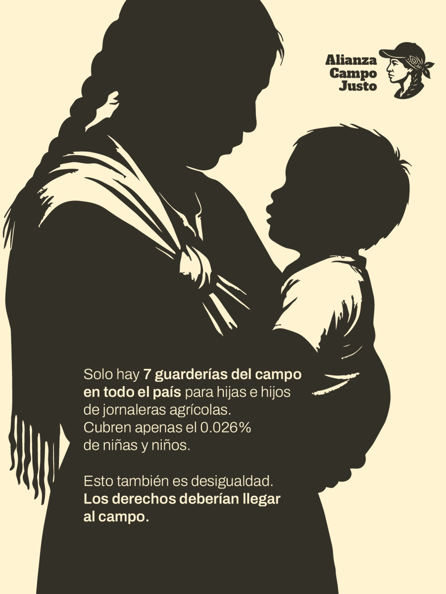 En todo el país existen solo 7 guarderías para las hijas e hijos de jornaleras agrícolas. Esta brecha refleja desigualdad. Los derechos también deben llegar al campo.
#SembrandoSeguridadSocial 🌱