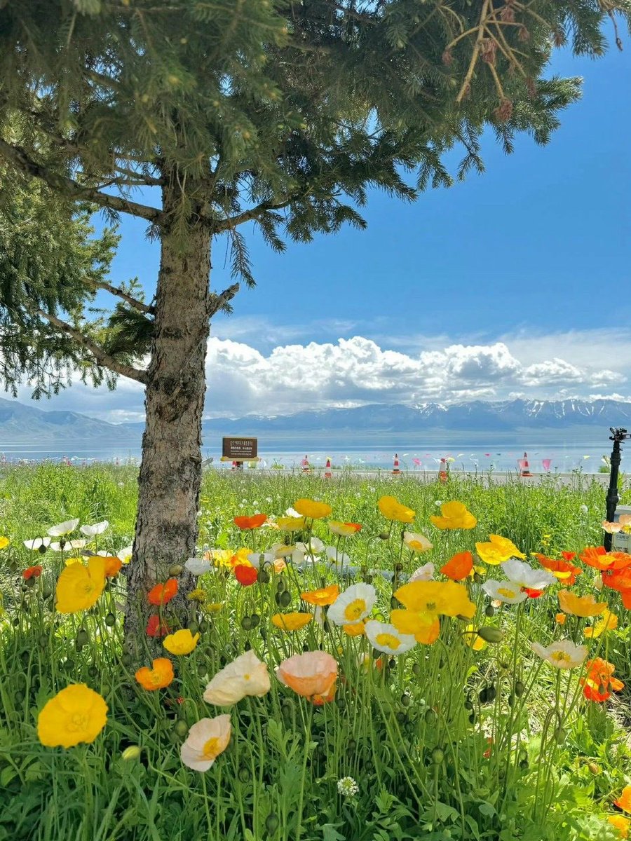 Girls therapy tweet media